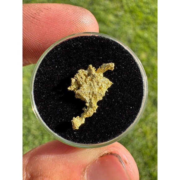 Alaska Shape Gold Crystal - 0.87 grams - California Gold Native Crystal - Picture 3 of 6